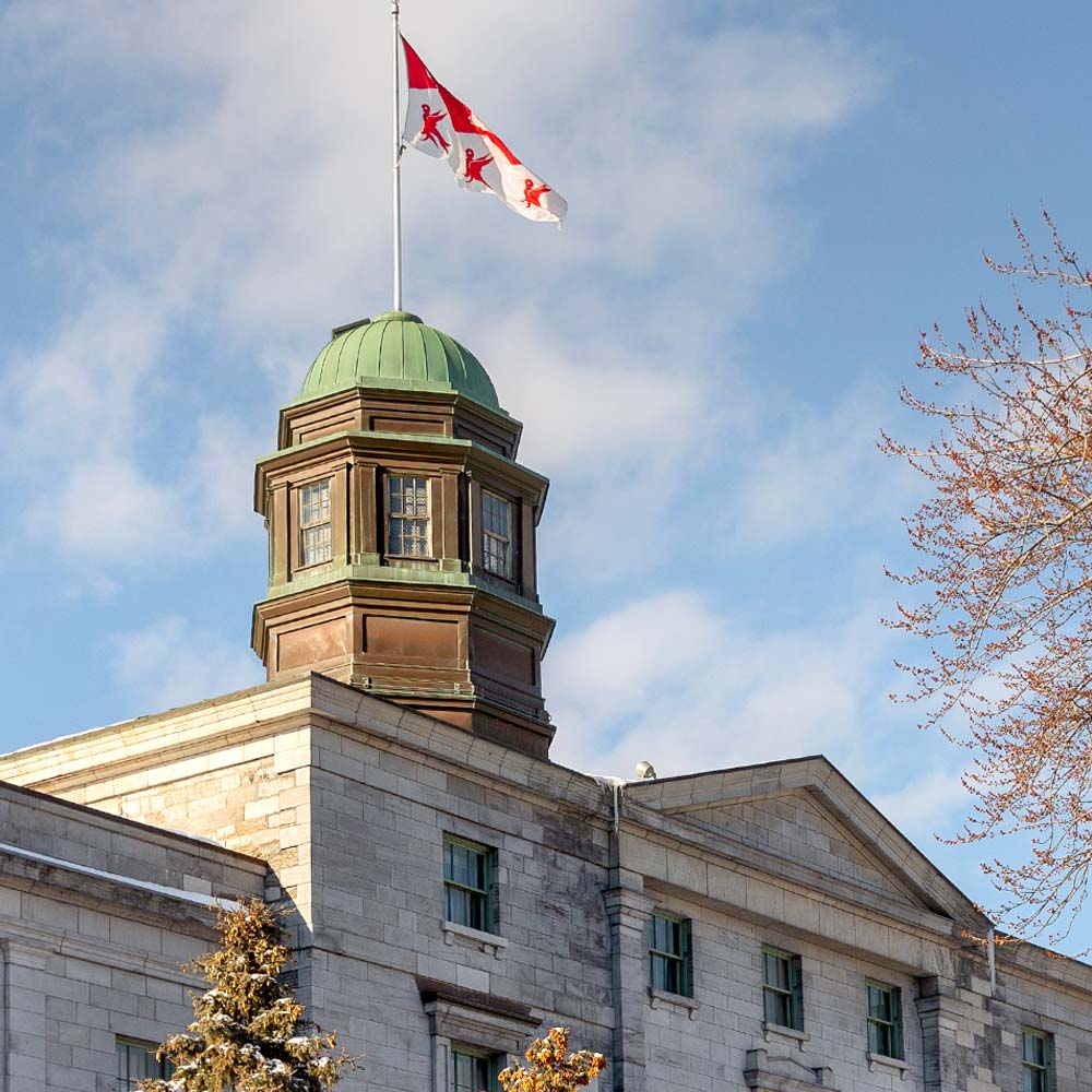 McGill University McGill University
